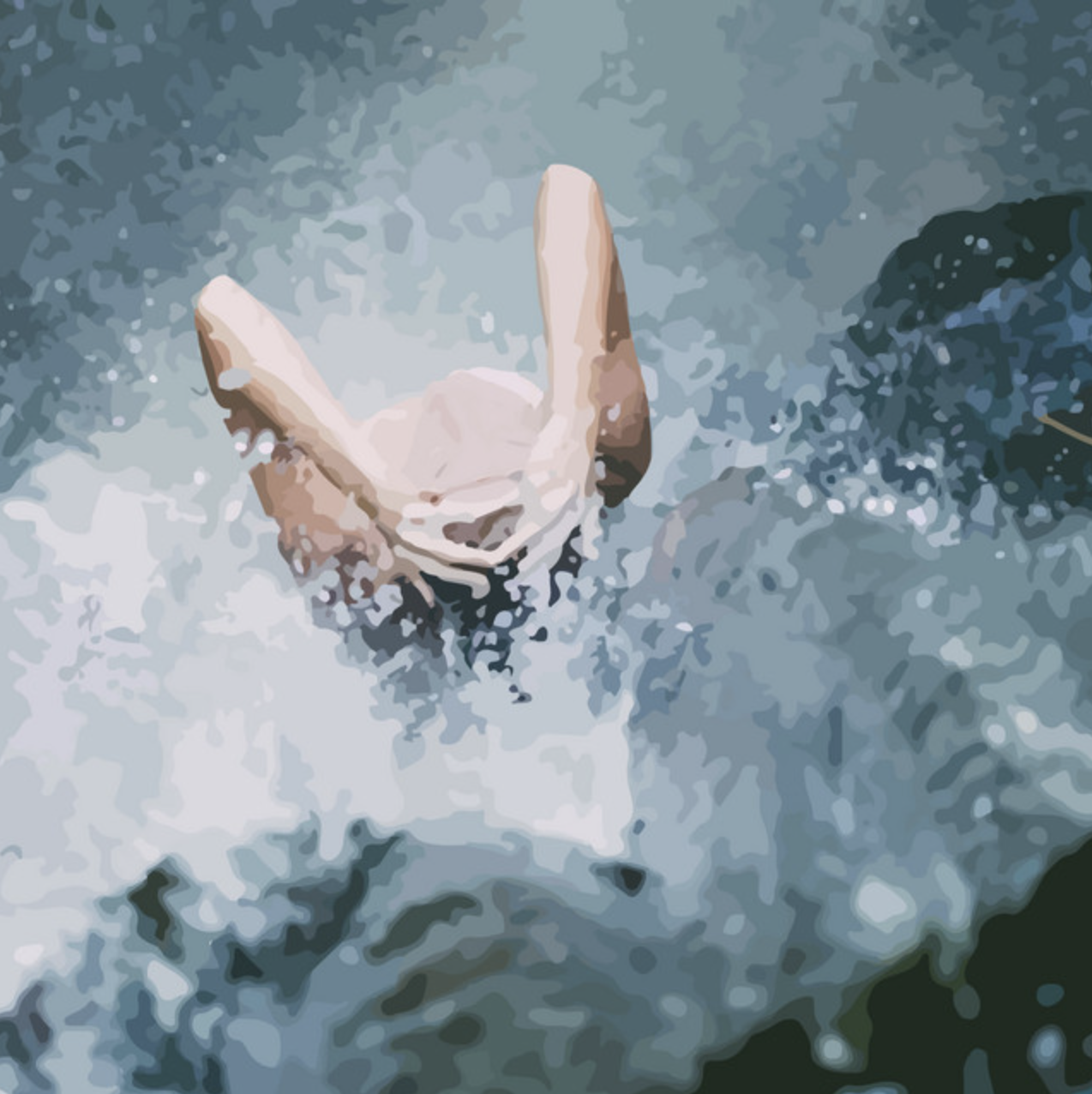 Saiko — Fluvial